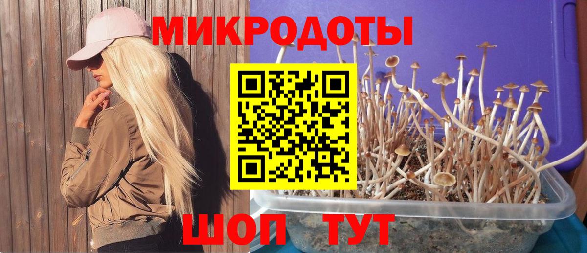 Псилоцибиновые грибы ЛСД Янаул