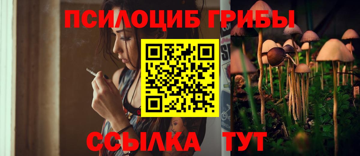 Псилоцибиновые грибы GOLDEN TEACHER  хочу наркоту  Янаул  Вход с VPN 